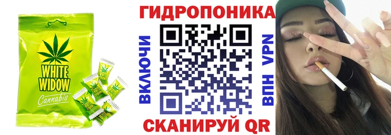 кракен как войти Зеленоградск Cannafood конопля
