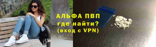 хмурый Алексин