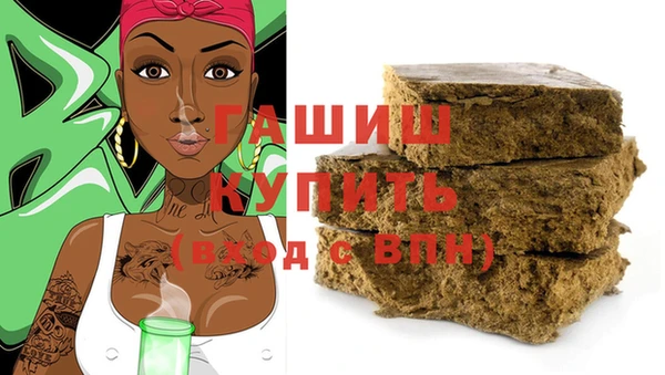 хмурый Алексин