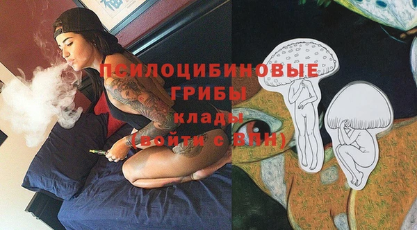 хмурый Алексин