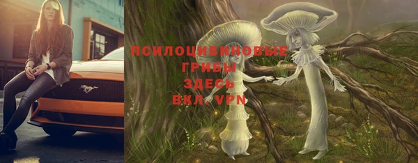 хмурый Алексин