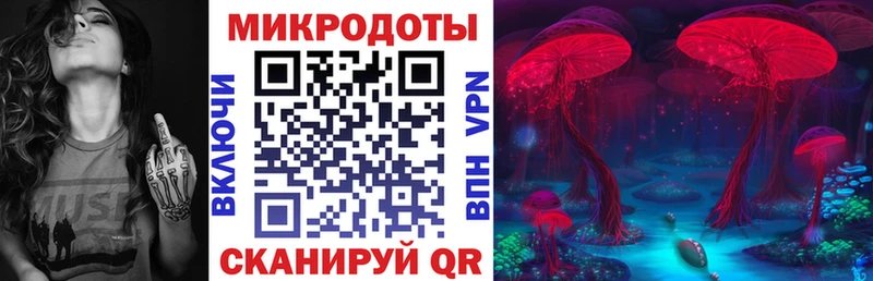 Галлюциногенные грибы Psilocybe  hydra как войти  Зеленоградск 